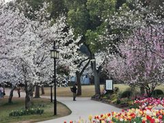 -苏州上方山国家森林公园