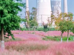 -九里湖国家湿地公园