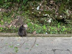 -西岭雪山大飞水景区