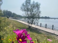 -野鸭湖国家湿地公园