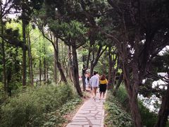 -嘉定紫藤园