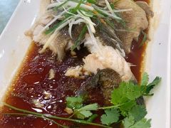 清蒸多宝鱼-新恬乐大酒家(沧达大厦店)