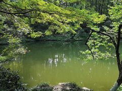 -杭州植物园