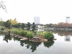 景点-月湖公园