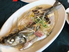 白丝鱼-漕溪人家