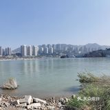 重庆这几天 冬日的暖阳