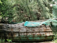 -北海金海湾红树林生态旅游区