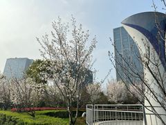 -大宁公园