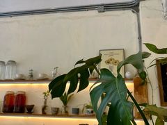-绿小院(荔湾店)