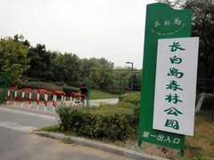 -长白岛森林公园