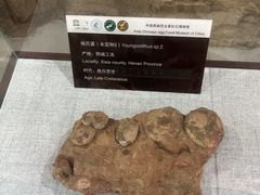 -中国西峡恐龙遗迹园
