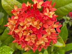 -碧桂园十里银滩