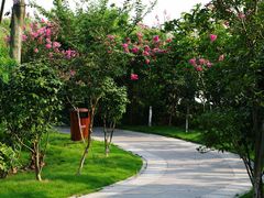 -艾溪湖湿地公园