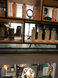 -青禾造型&刺青