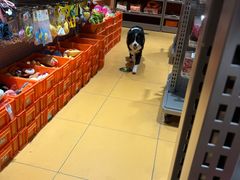 -MARSMART PETS火星宠物超市(1733店)