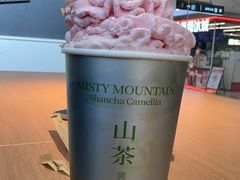 -雾与山茶(大禹城店)