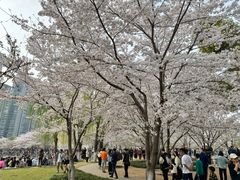 -西北湖绿化广场
