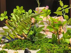 -浙江安吉JW万豪酒店·万豪中餐厅