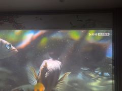 -金指缘足浴(望园路旗舰店)