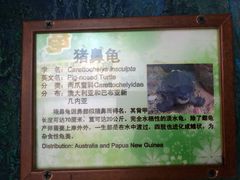 -上海大自然野生昆虫馆(东方明珠·爬宠昆虫探索中心)