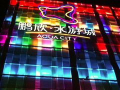 -鹏欣水游城