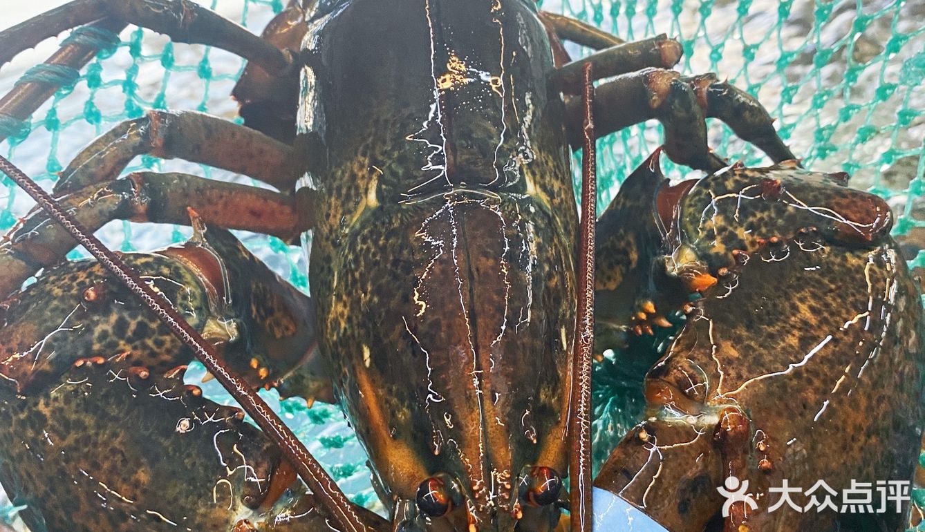 马王堆海鲜市场体验‼️好贵[流泪]