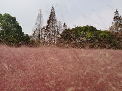 -嘉北郊野公园