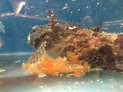 -海景壹号大酒店(惠钱路店)