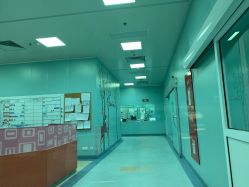 -上海交通大学医学院附属上海儿童医学中心(陆家嘴总院区)