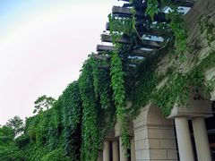 -白塘生态植物园