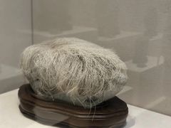 -安徽省地质博物馆