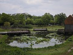 -美兰湖景区