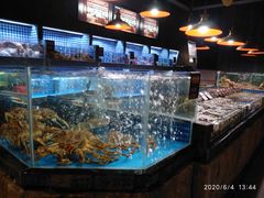 水产区-徐记海鲜(大明宫|北二环店)