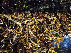 -昆虫窝子·特色云南菜(拓东路总店)