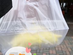 榴莲-叁宫礼水果批发仓储店(梅江店)