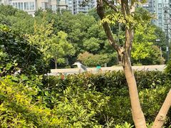 -苏州河梦清园环保主题公园