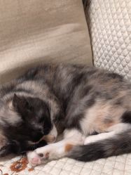 -爱儿宝孕妇儿童亲子摄影(月亮河店)