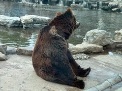 -北京野生动物园