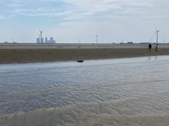 -启东黄金海滩景区