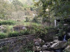 -藏龙百瀑风景区