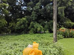 -荔枝公园(福田区)