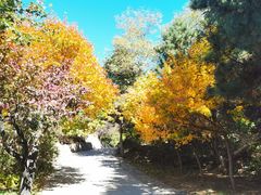 -云峰山自然风景区