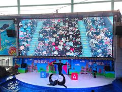 -成都浩海立方海洋公园