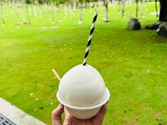 -三亚南山文化旅游区