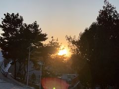 -红光山