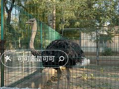 -保定市动物园