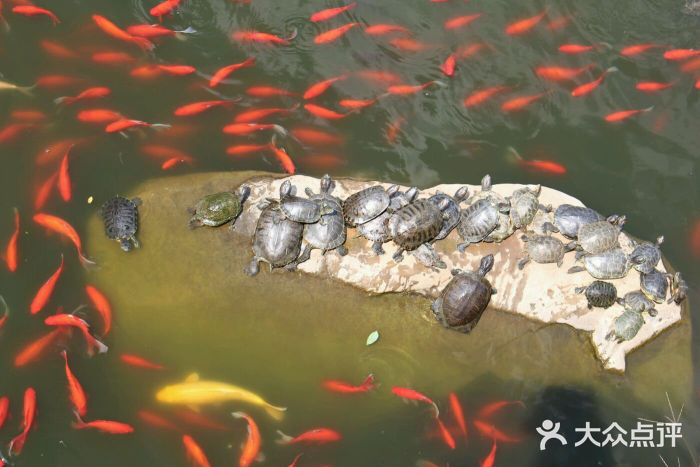 横山寺图片