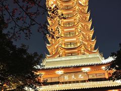 -塔子山公园