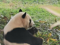 -西安秦岭野生动物园