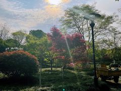 -杭州城北体育公园